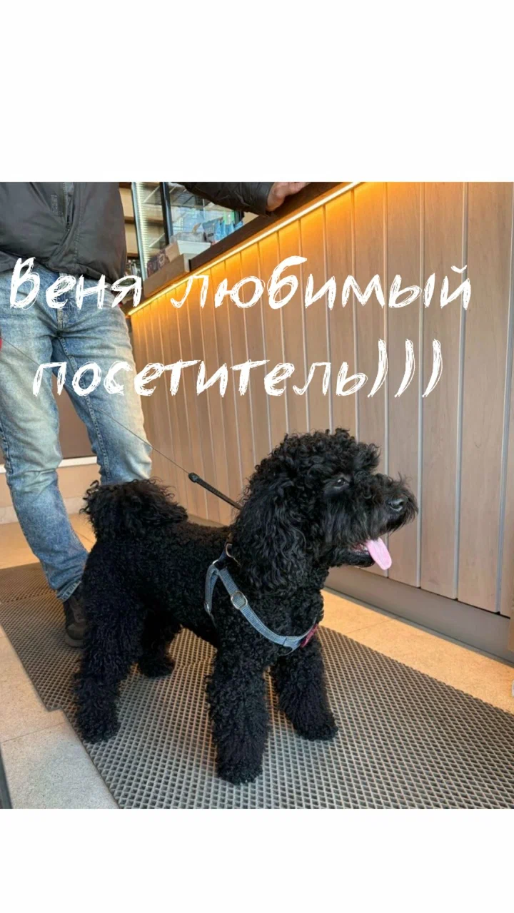 Интерьер кофейни